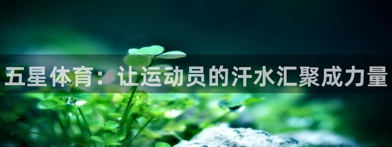 MK体育官网下载平台是正规平台吗知乎：五星体育：让运