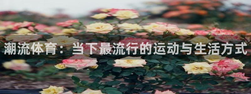 MK体育官网下载官方客服电话：潮流体育：当下最流行的