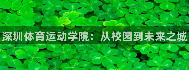 MK体育官方正版app娱乐代理怎么样：深圳体育运动学