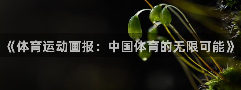 MK体育官网下载招商电话号码查询：《体育运动画报：中