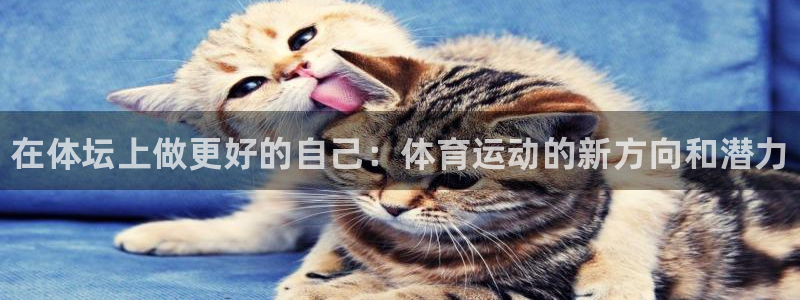 MK体育官网下载娱乐：在体坛上做更好的自己：体育运动