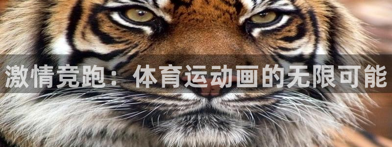 MK体育官方正版app集团官网首页：激情竞跑：体育运