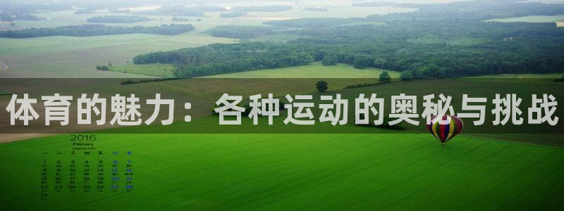 MK体育官方正版app官方：体育的魅力：各种运动的奥