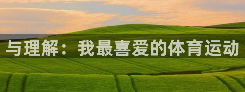 MK体育官网下载招商：与理解：我最喜爱的体育运动