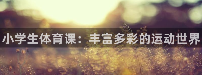 MK体育官网下载是干嘛的公司：小学生体育课：丰富多彩