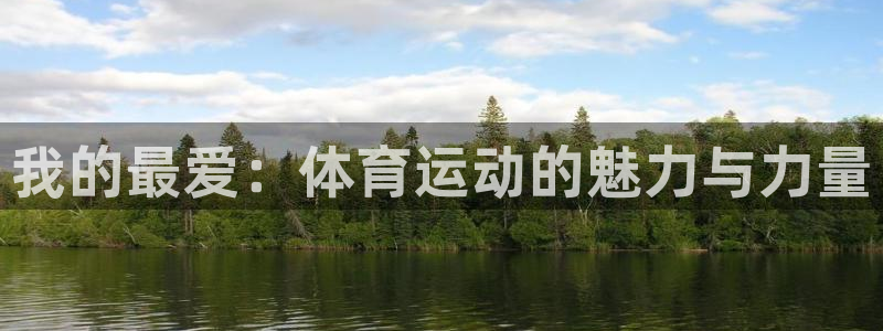 MK体育官方正版app新能源：我的最爱：体育运动的魅