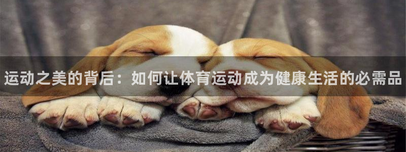 MK体育官网下载招商电话号码查询：运动之美的背后：如