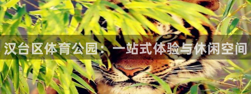 MK体育官方正版app开户