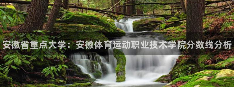 MK体育官方正版app娱乐下载