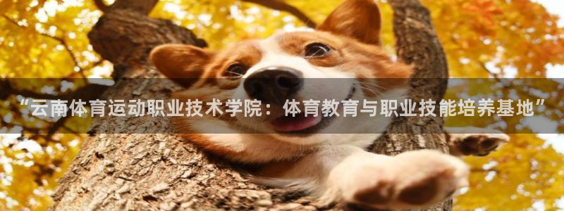 MK体育官网下载招商电话地址是多少
