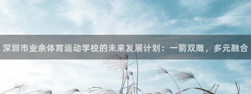 MK体育官网下载软件：深圳市业余体育运动学校的未来发展计划：