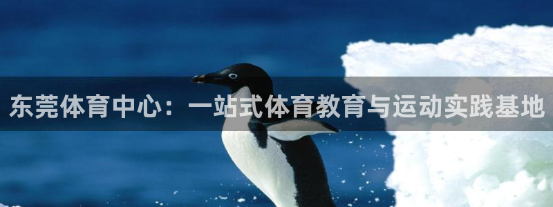 MK体育官网下载招商电话号码查询
