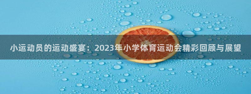 德国MK体育官方正版app集团：小运动员的运动盛宴：2023