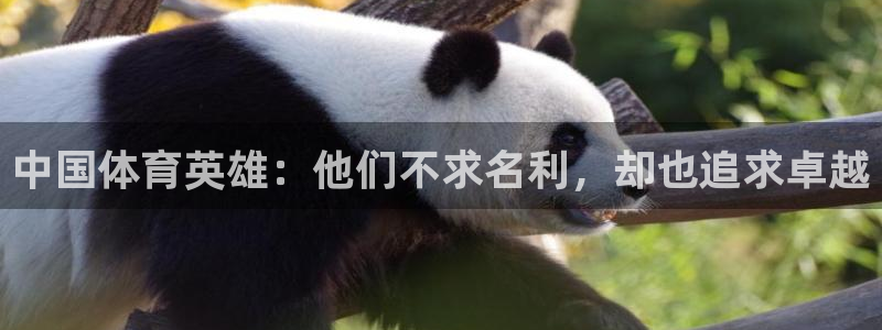 MK体育官网下载平台APP：中国体育英雄：他们不求名