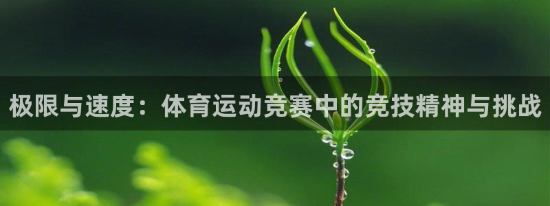 MK体育官方正版app新能源：极限与速度：体育运动竞