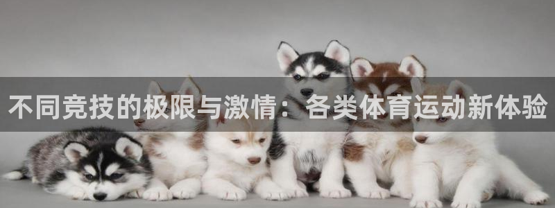 MK体育官网下载是干嘛的公司：不同竞技的极限与激情：
