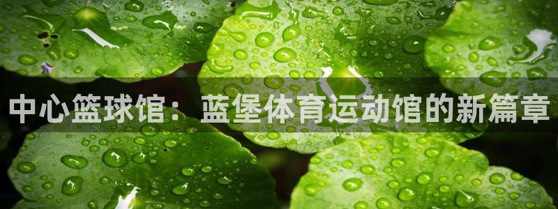 MK体育官网下载：中心篮球馆：蓝堡体育运动馆的新篇章