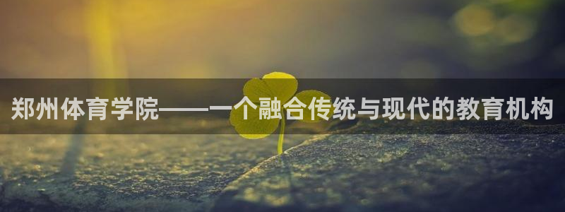 海南MK体育官网下载：郑州体育学院——一个融合传统与