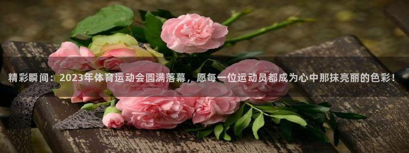 MK体育官网下载招商电话是多少啊：精彩瞬间：2023年体育运