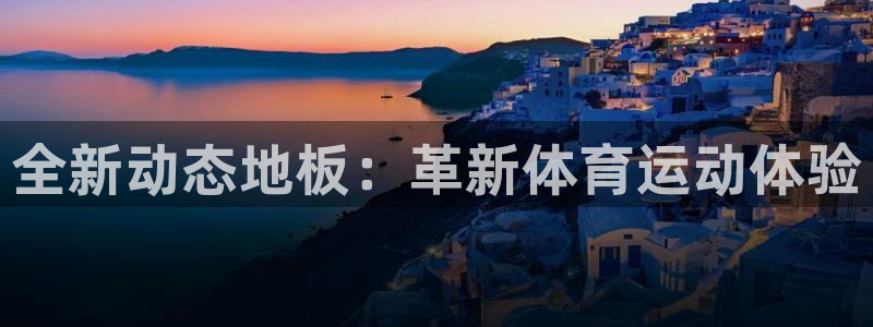 MK体育官网下载：全新动态地板：革新体育运动体验