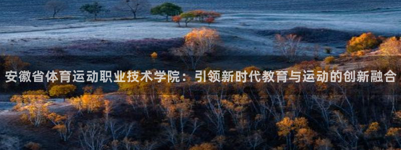 MK体育官方正版app娱乐首页网站大全：安徽省体育运