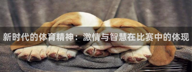 MK体育官网下载招商：新时代的体育精神：激情与智慧在比赛中的