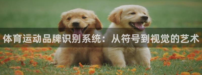 MK体育官方正版app娱乐网站：体育运动品牌识别系统：从符号