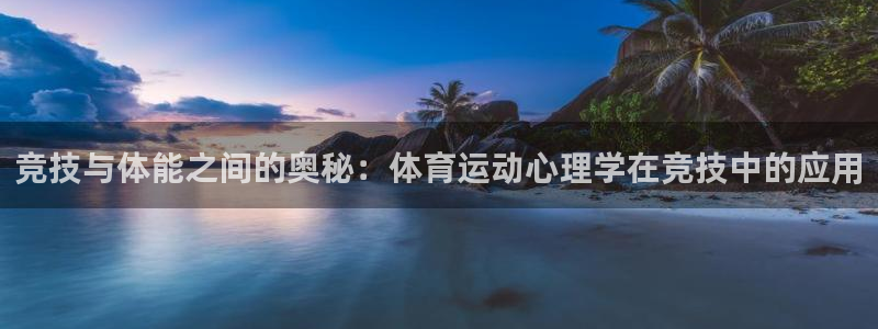 MK体育官方正版app娱乐代理怎么样