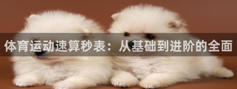 MK体育官网下载：体育运动速算秒表：从基础到进阶的全面