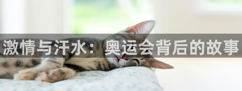 mk体育下载：激情与汗水：奥运会背后
