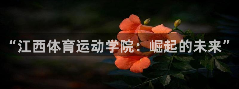 MK体育是正规的吗：“江西体育运动学